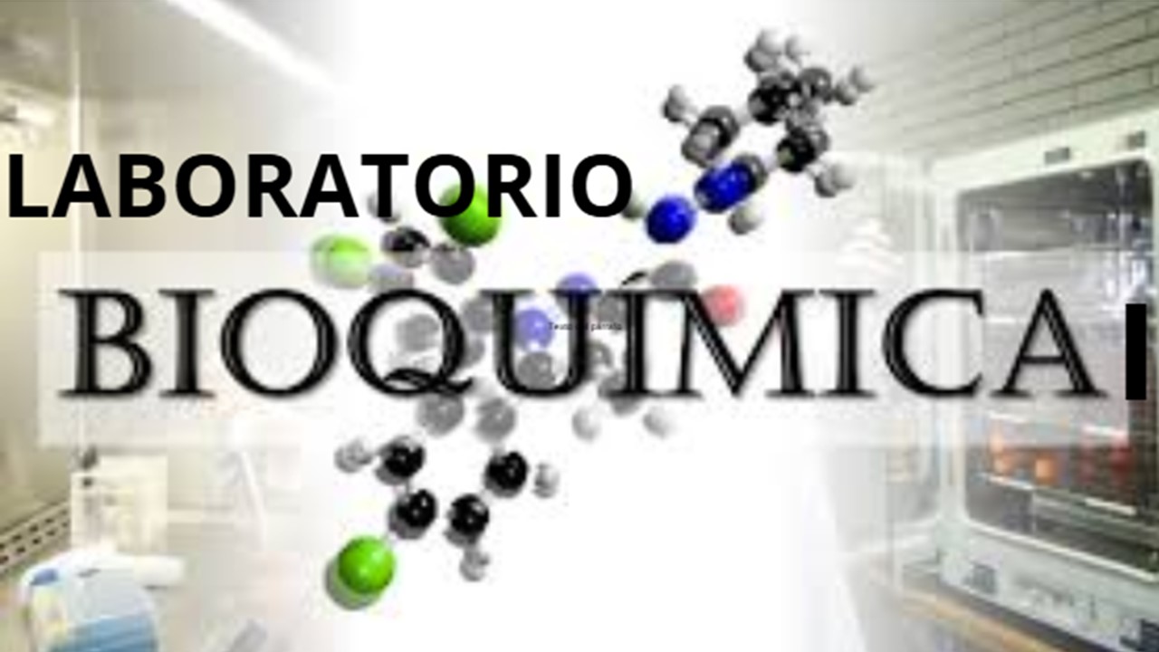  identificación y el análisis molecular 
